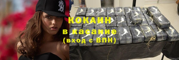 трава Бородино