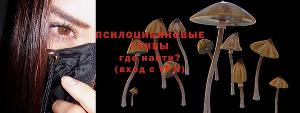 сатива Бугульма