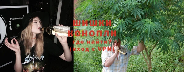 трава Бородино