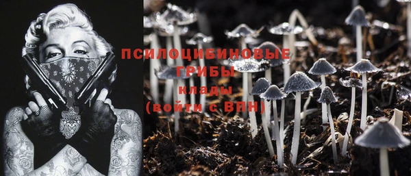 марки nbome Богданович