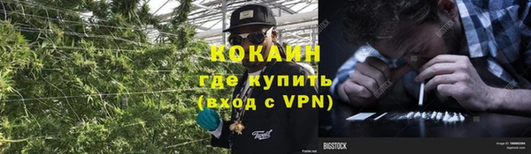 марки nbome Богданович